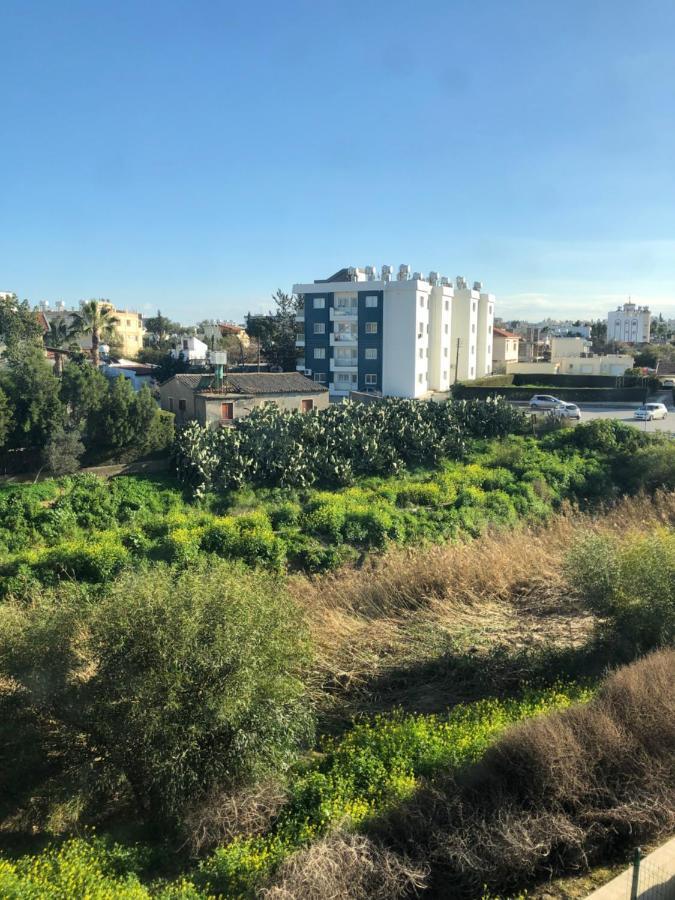 Reflex Apartment Spacious And Comfortable Nicosia Eksteriør billede